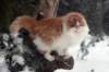 img_2474_small.jpg
