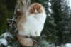 img_2514_small.jpg