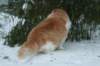 img_2532_small.jpg