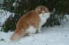img_2533_small.jpg