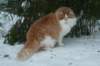 img_2534_small.jpg