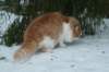 img_2535_small.jpg