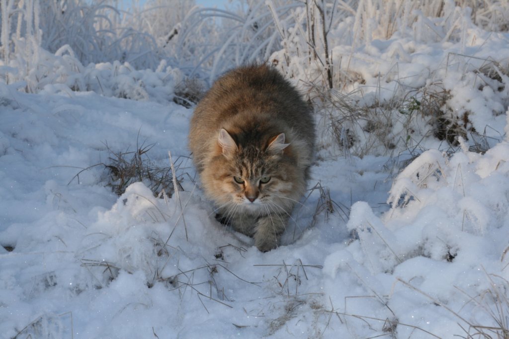 img_1607.jpg