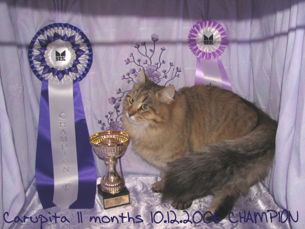 carupita11months10122006championb.jpg