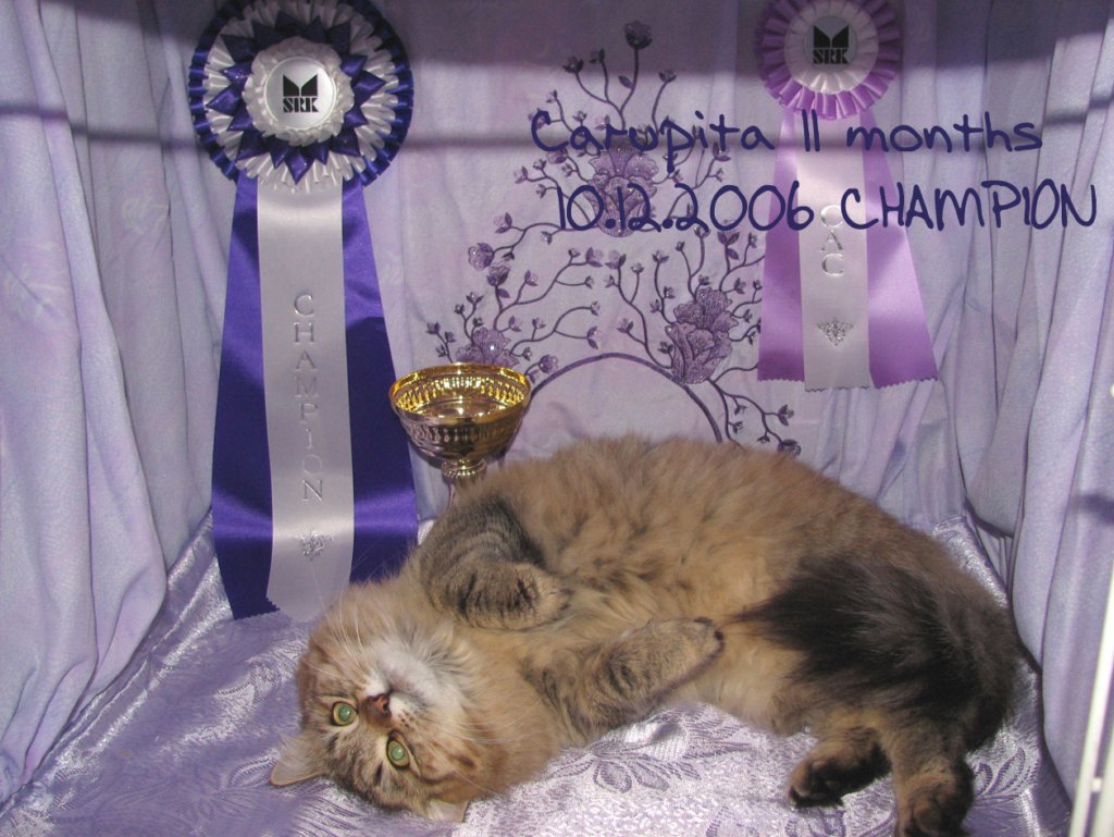 carupita11months10122006championc.jpg