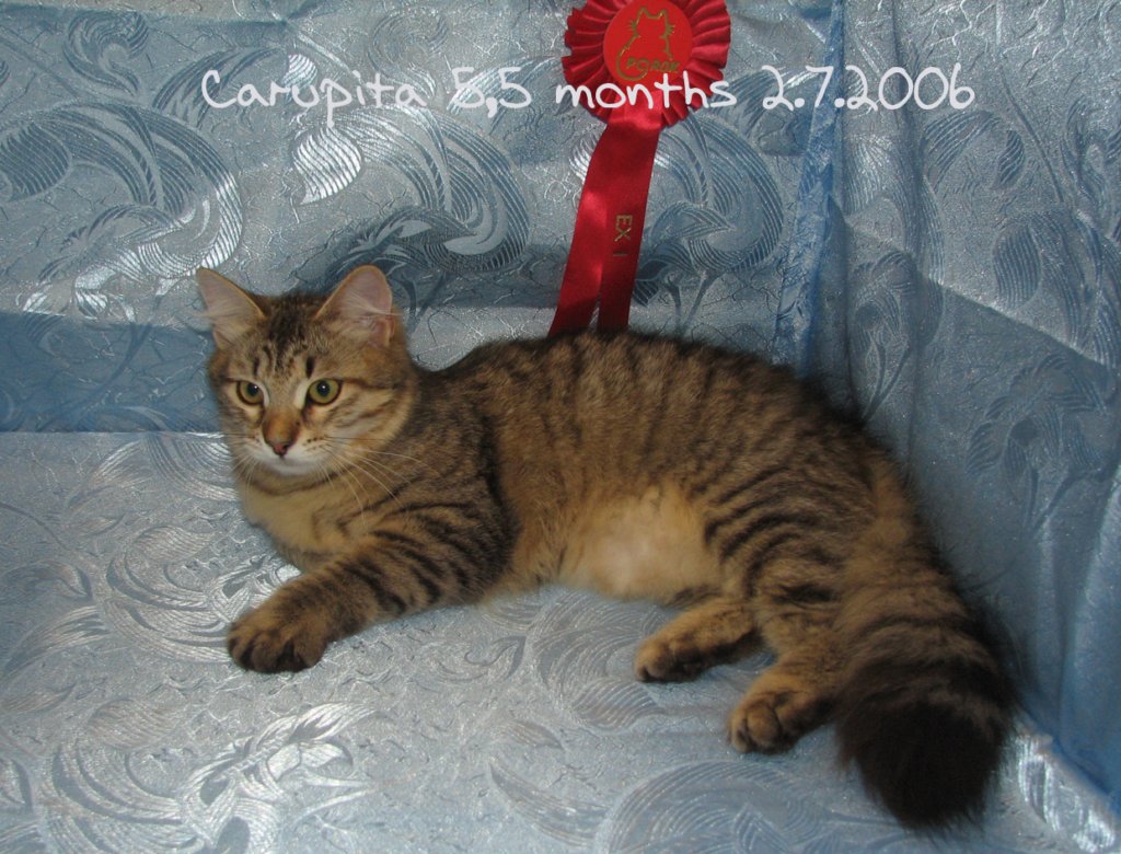 carupita55months272006c.jpg