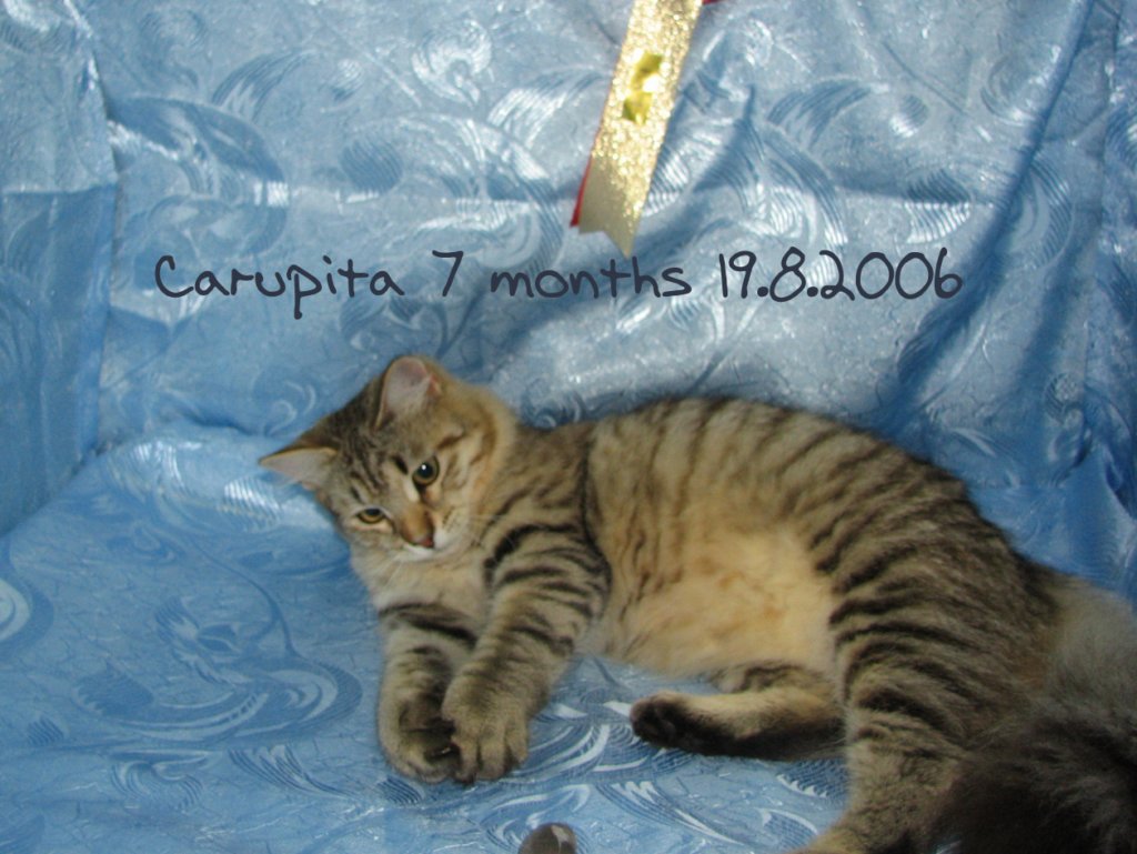 carupita7months1982006a.jpg