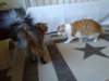 img_20190403_165242_small.jpg