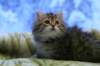 img_4893_small.jpg