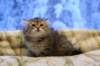 img_4906_small.jpg
