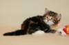 taddeusboyn092211_small.jpg