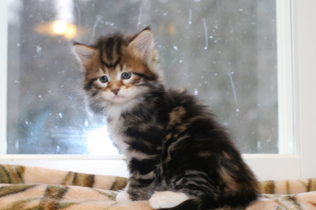 taddeusboy5weeks22122014.jpg