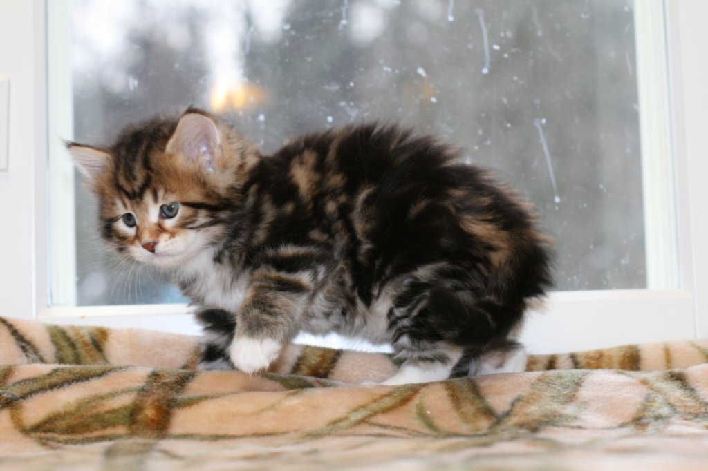 taddeusboy5weeks221220145.jpg