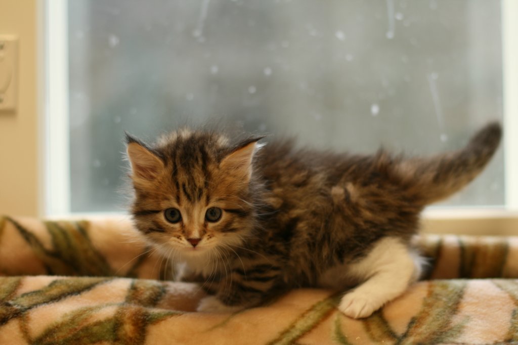 talitagirl5weeks221220142.jpg