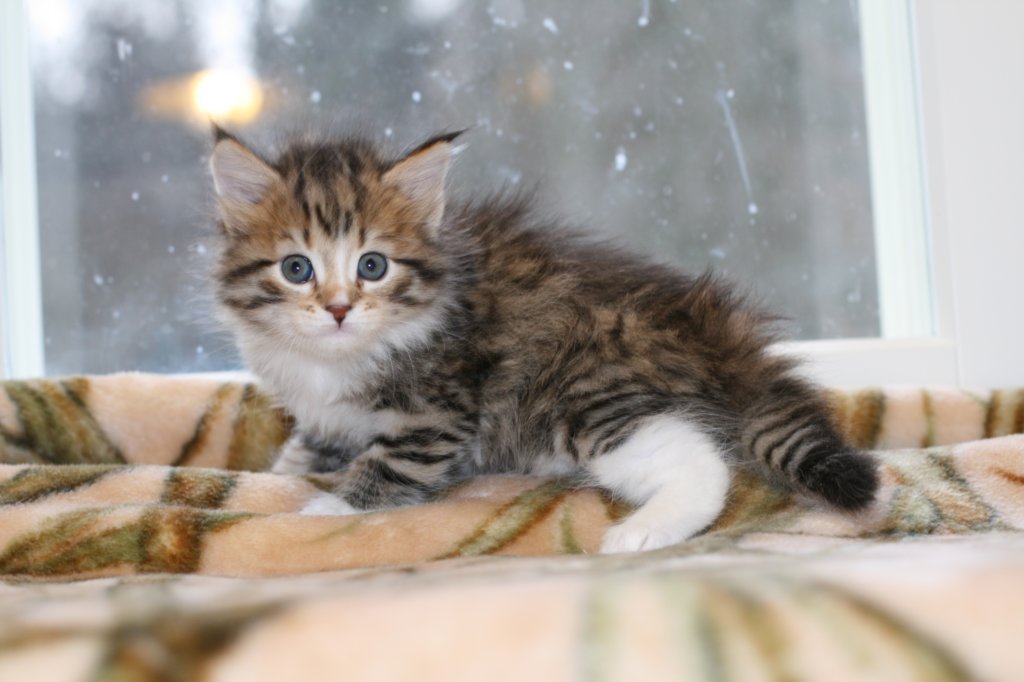 talitagirl5weeks221220144.jpg