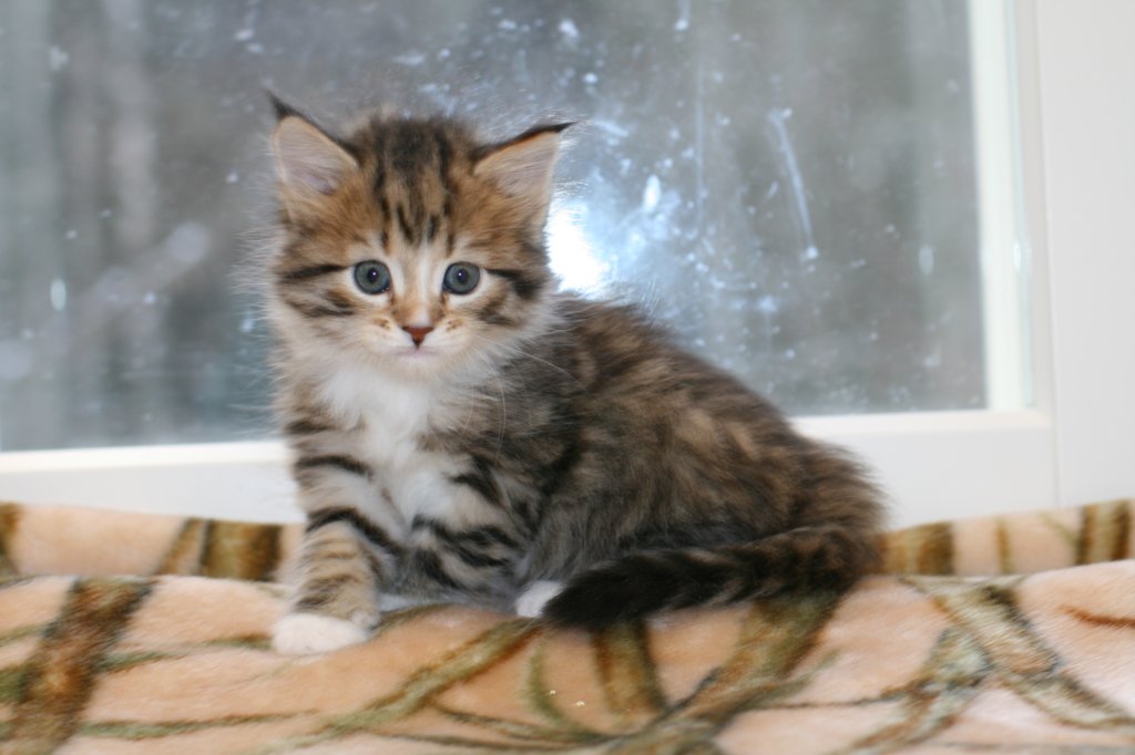 talitagirl5weeks221220147.jpg