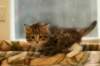 talitagirl5weeks22122014_small.jpg