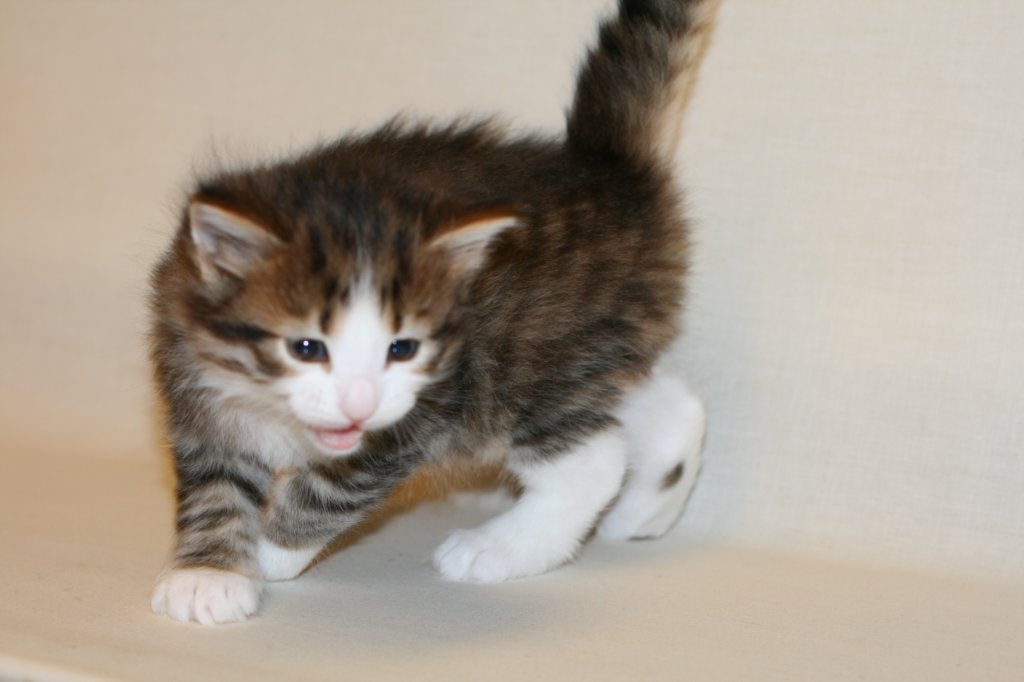 titusboy5weeks2212201410.jpg