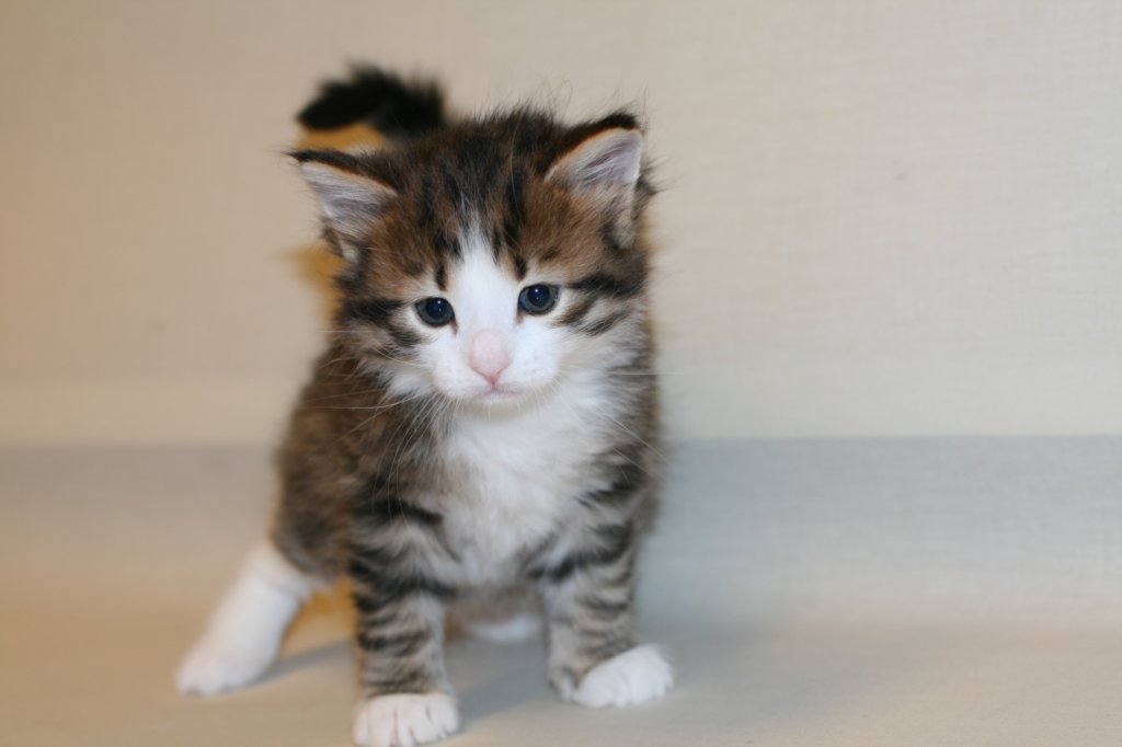 titusboy5weeks2212201413.jpg