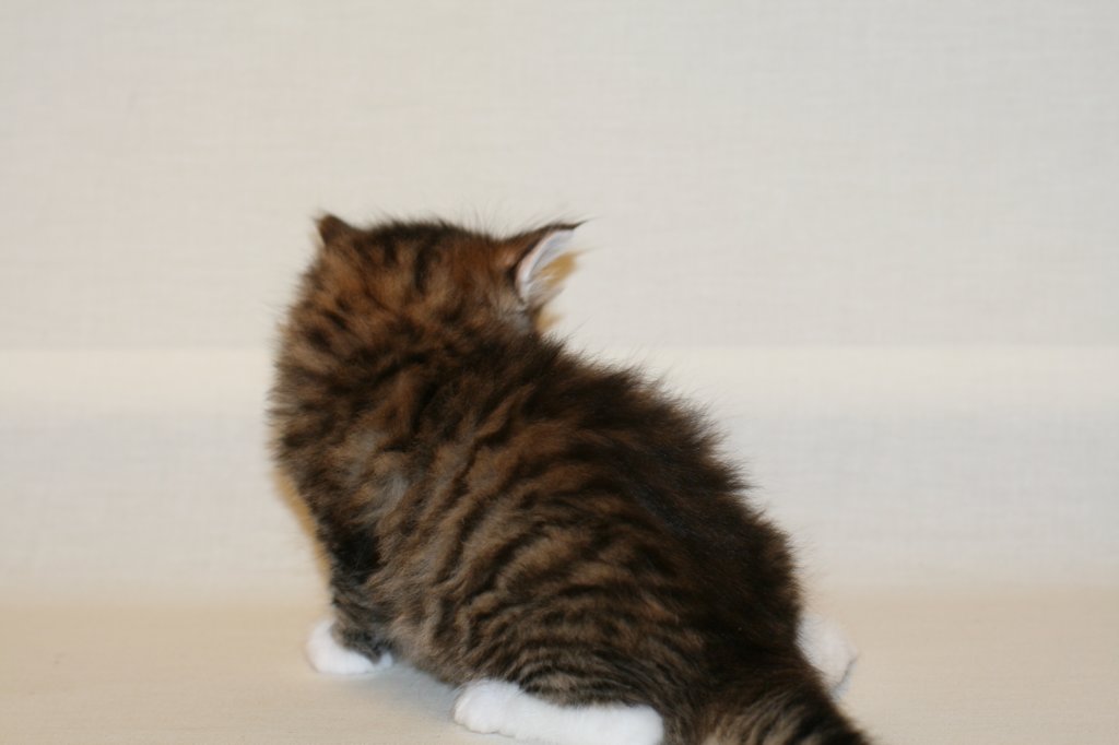 titusboy5weeks221220146.jpg