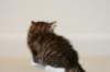 titusboy5weeks221220146_small.jpg