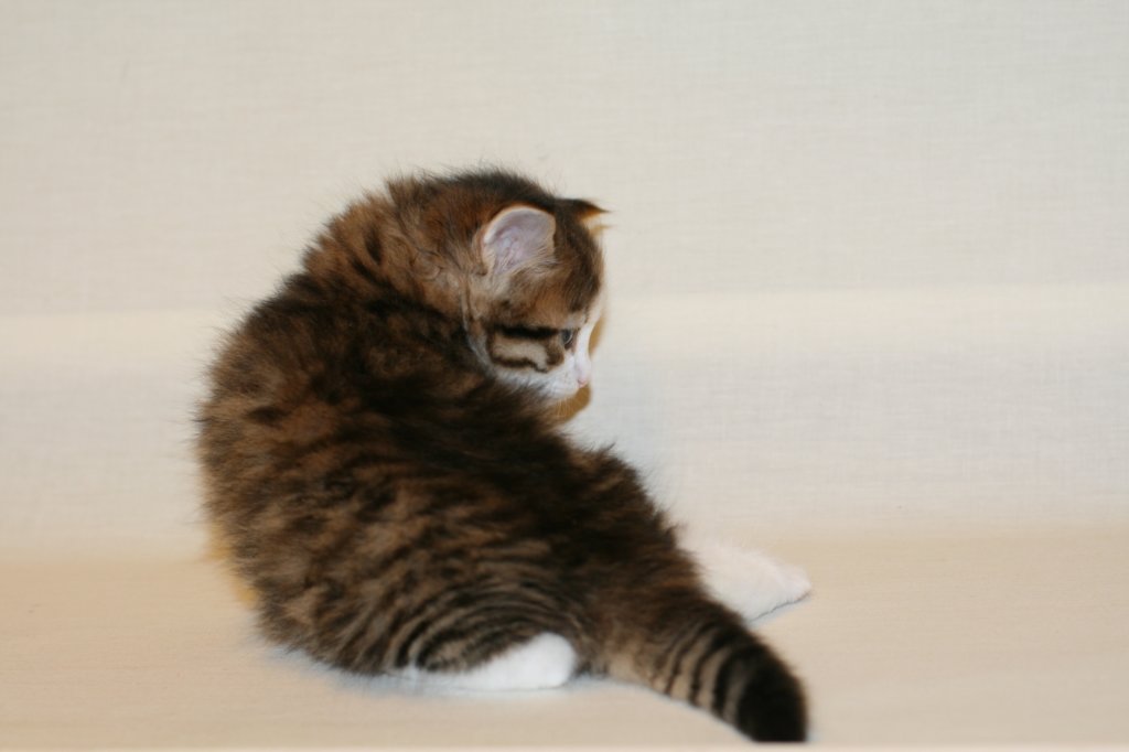 titusboy5weeks221220147.jpg