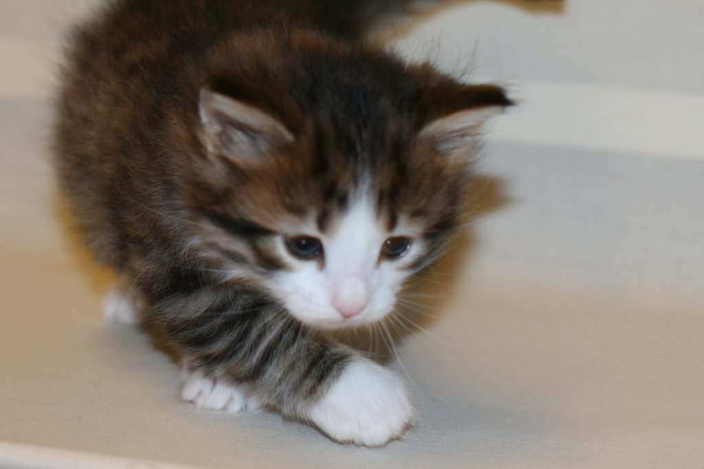 titusboy5weeks221220149.jpg