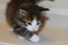 titusboy5weeks221220149_small.jpg