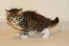 talitagirln092410_small.jpg