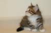 talitagirln09248_small.jpg