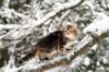 tirsa105weeks27_small.jpg