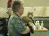kittensareforcomparison4_small.jpg