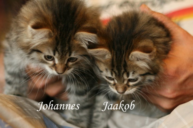 johannesjaakob16.jpg
