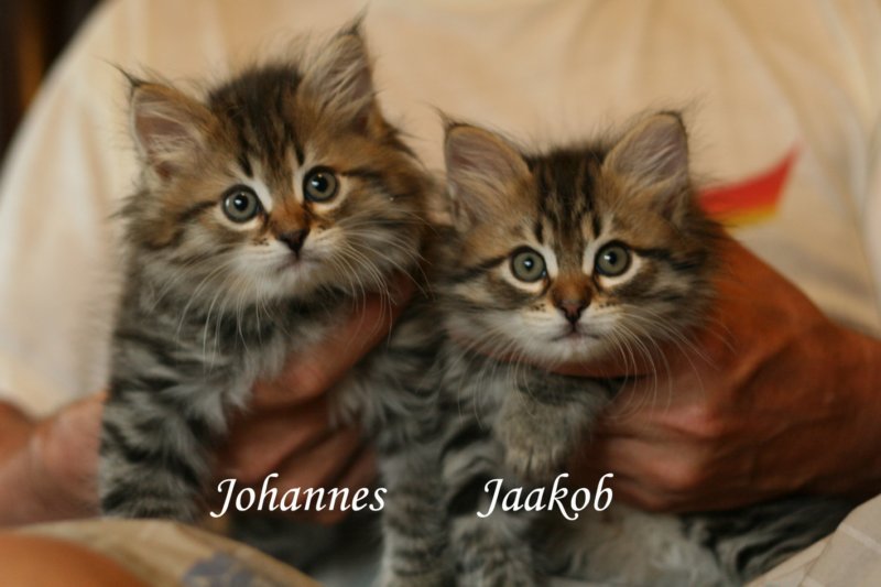 johannesjaakob8.jpg