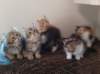 u4together256202310_small.jpg