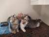 u4together256202312_small.jpg