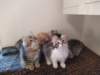 u4together256202313_small.jpg