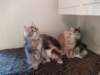 u4together256202314_small.jpg