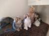 u4together256202315_small.jpg