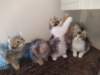 u4together256202316_small.jpg
