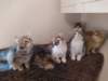 u4together256202317_small.jpg