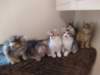 u4together256202318_small.jpg