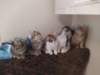 u4together256202319_small.jpg
