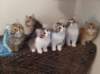 u4together25620231_small.jpg