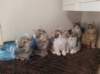 u4together256202320_small.jpg