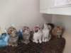 u4together256202321_small.jpg