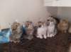 u4together256202322_small.jpg