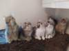 u4together256202323_small.jpg
