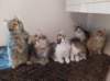 u4together256202324_small.jpg