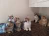 u4together256202326_small.jpg